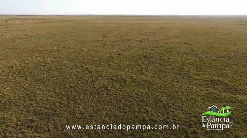 FAZENDA À VENDA NO RS COM 2274 HA (2).00_01_02_08.Quadro004_9f868b271d5f872e5c828ca613e749ffda7e01b3.png